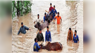 पाऊस भारतात; धास्ती पाकिस्तानात! पूरपरिस्थितीला तोंड देण्यासाठी धावाधाव