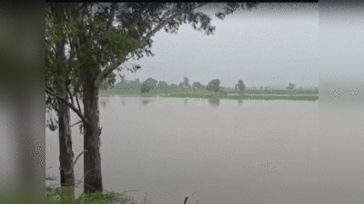 Flood News: यूपी की कई नदियां उफान पर, अब गंगा और यमुना में बढ़ने वाला है पानी, अलर्ट मोड में अफसर