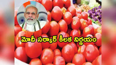 Tomato Prices: మోదీ సర్కార్ గుడ్‌న్యూస్.. తక్కువ ధరకే టమాటాలు 