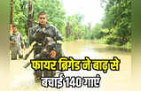 Noida Flood: गोशाला में घुसा यमुना का पानी, फायर ब्रिगेड ने बचाई 140 गायों की जान