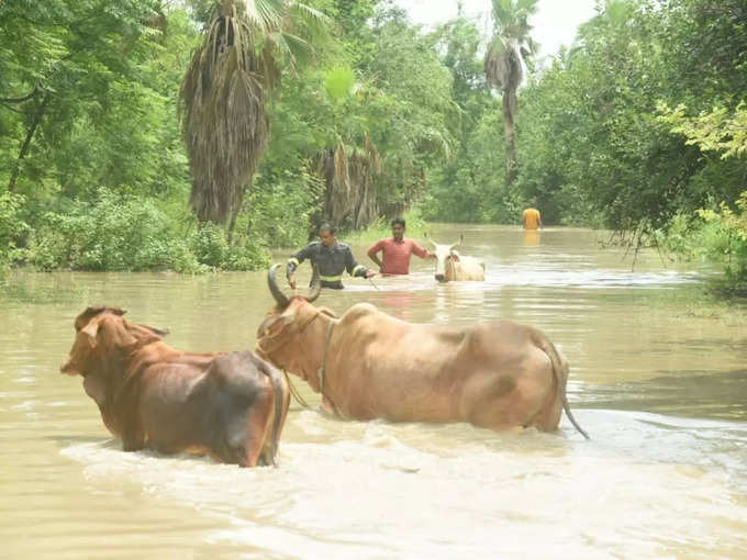 ​अभी बढ़ सकता है पानी​