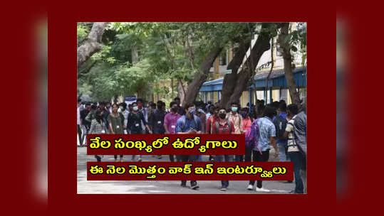 Jobs Mela : వేల సంఖ్యలో ఉద్యోగాలు.. ఈ నెల మొత్తం వాక్‌ ఇన్‌ ఇంటర్వ్యూలు.. ఇలా రిజిస్ట్రేషన్‌ చేసుకోండి..! 