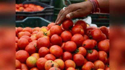 UP Tomato Price: फतेहपुर की दो सब्‍जी दुकानों से 25 किलो टमाटर चुरा ले गए चोर, अखिलेश यादव ने यूं ली चुटकी