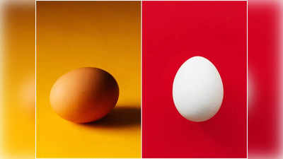Brown Egg vs White Eggs: সাদা না বাদামি, কোন রঙের ডিম খেলে মিলবে বেশি উপকার? পুষ্টিবিদের মতামত শুনলে ভুল ভাঙবে এবার
