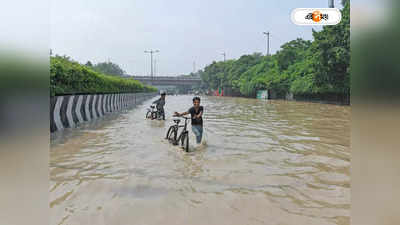 Delhi Floods Reason : দিল্লির বন্যা পরিস্থিতির পিছনে কারণ কী? জানালেন বিশেষজ্ঞরা