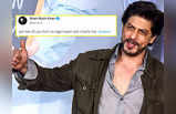 AskSRK : बंदे ने शाहरुख खान से पूछा शूटिंग के दौरान कितनी चोट लगी, SRK का जवाब दिल जीत लेगा