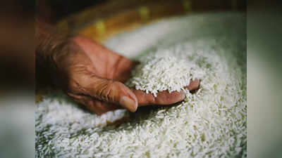 महंगे प्याज-टमाटर के बीच आई राहत की खबर,  अभी और सस्‍ता होगा  चावल! सरकार ने उठाया यह बड़ा कदम