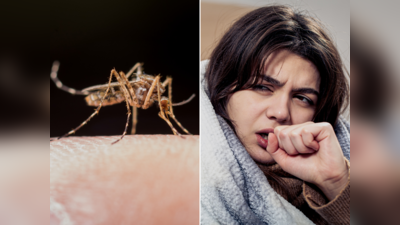 Dengue Prevention Tips: ચોમાસામાં ડેન્ગ્યુના કેસમાં થઇ રહ્યો છે વધારો, આ 6 લક્ષણો જોવા મળતાં તત્કાળ લો સારવાર