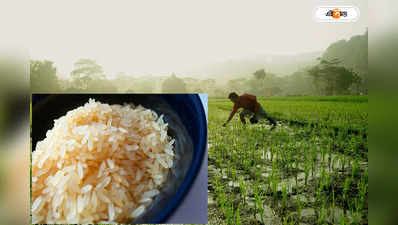 Rice Price Hike: বিশ্ব বাজারে অগ্নিমূল্য চাল, ভারতেও দামি হচ্ছে একমুঠো গরম ভাত?