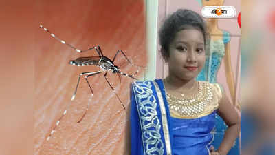 Dengue Symptoms : বর্ষা নামতেই রাজ্যে ফের ডেঙ্গির থাবা? বারাসতে মৃত্যু নাবালিকার