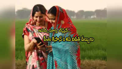 PM Kisan: రైతులకు అలర్ట్.. అదే జరిగితే పీఎం కిసాన్ డబ్బులు రావు.. మీ స్టేటస్ చెక్ చేసుకోండి!