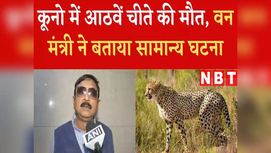 eighth cheetah dies in kuno national park forest minister vijay shah says its normal