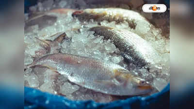 Hilsa Fish : ভরা মৌসুমেও ইলিশের আকাল! ১০ হাজারে দাম ছুঁল বাংলাদেশের বাজারে