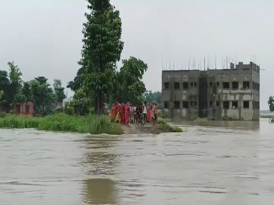 Bihar Flood News: अररिया में उफान पर नदियां, निचले इलाकों में बाढ़ जैसे हालात
