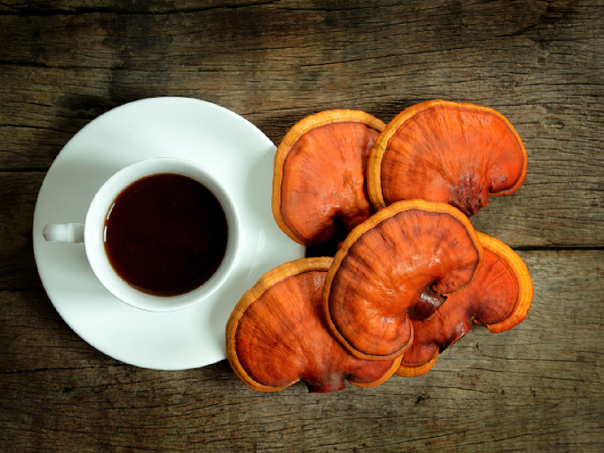 mushroom mushroom