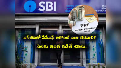 PPF Account: కోటీశ్వరుల్ని చేసే పీపీఎఫ్ స్కీం.. SBI లో ఇలా ఈజీగా ఆన్‌లైన్‌లో అప్లై చేయండి..