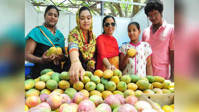 Lucknow News: यूरोप Russia दुबई तक यूपी के इस आम का इंतजार, CM Yogi ने Mango से जुड़ा प्लान भी बता दिया