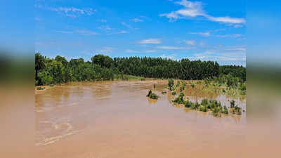 चेतंग नदी ओवर फ्लो, खेतों में कई फीट पानी, फसल डूबी देख किसान की सदमे से मौत... हरियाणा में बाढ़ का कहर