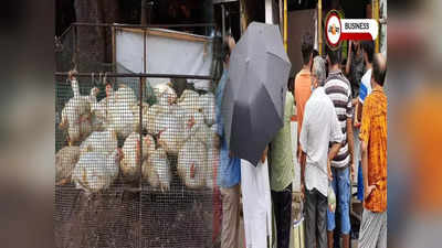 Kolkata Market Price: অবশেষে কমল চিকেনের দাম, আজ বাজারে রেট কত?