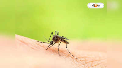 Dengue In Kolkata : মশার উৎপাতে ঘুম ছুটছে নিউ টাউনের