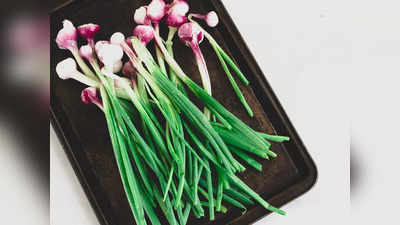 Benefits of Spring Onions: নীরোগ জীবন কাটাতে চান তো নাকি? তাহলে পেঁয়াজকলি খাচ্ছেন না কেন শুনি?