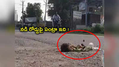 Peddapalli: నడి రోడ్డుపై ఏంట్రా ఇది.. మీరు మారరా?