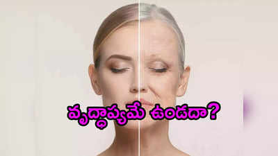 Reverse Aging: వయసును వెనక్కి మళ్లించొచ్చు.. సరికొత్త ఔషధాన్ని కనుగొన్న శాస్త్రవేత్తలు