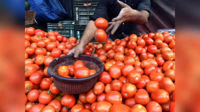 Tomato Price Today: आम आदमी को मिली राहत! बाजार में आ गया सस्ता टमाटर, जानिए कहां और कितने रुपये में मिलेगा