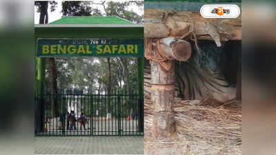 Bengal Safari Park : বেঙ্গল সাফারি পার্কে নয়া অতিথির আগমন! খুশিতে ডগমগ পর্যটকরা