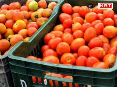 Bihar Tomato Price: आरा में 80 रुपये प्रति किलो की रेट से बिक रहा महंगा टमाटर, खरीदने की लोगों में मची होड़