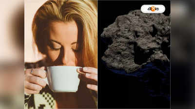 Meteorite Hits Woman: কফির কাপে তুফান তুলে বন্ধুর সঙ্গে খোশগল্প, মহাশূন্য থেকে ছুটে এসে মহিলার গায়ে পড়ল কী?
