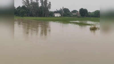 UP Flood: बिजनौर में Ganga से लेकर आगरा में Yamuna नदी तक... वेस्ट यूपी में बढ़ रहा है बाढ़ का खतरा