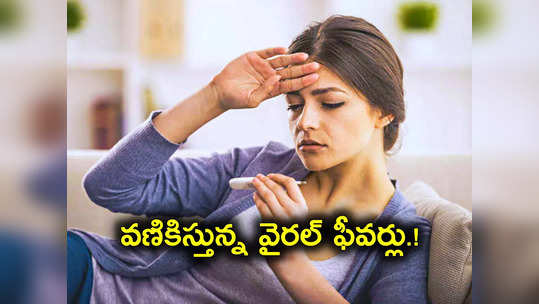 జనాలూ జర పైలం.. జ్వరాలు కమ్ముకొస్తున్నాయి.. ఇప్పటికే 2 లక్షల మందికి..! 