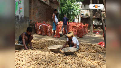 Potato Price Today : অগ্নিমূল্য আলু, এক সপ্তাহে বাড়ল ১০০ টাকা! এই অবস্থা কতদিন চলবে?