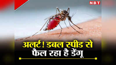 दिल्ली में डबल स्पीड से फैल रहा है डेंगू, रोज हॉस्पिटल में भर्ती हो रहे हैं इतने मरीज