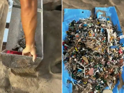 साफ दिखने वाले Beach से शख्स ने जुगाड़ लगाकर निकाल दिया कचरा, वायरल वीडियो देख लोगों की आंखें खुल गईं