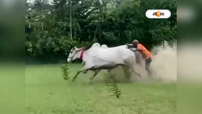 Cattle Race in West Bengal : যুগের তালে লুপ্তপ্রায়, দক্ষিণ ২৪ পরগনায় বর্ষার মাঝে আয়োজন গোরু দৌড় প্রতিযোগিতার