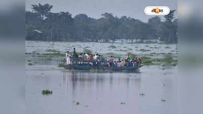 Assam Flood Latest News : বন্যার পাশাপাশি বন্য প্রাণীর আক্রমণের ভয়! আতঙ্কে ঘুম উড়েছে অসমের বাসিন্দাদের