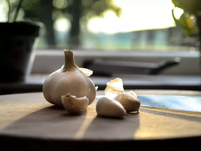 Garlic