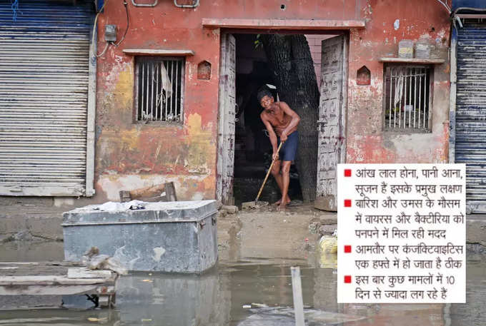 दिल्‍ली में बाढ़ के बाद अब सांपों, बीमारियों का खतरा