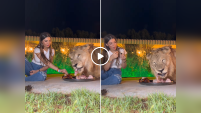 शेर के साथ बैठकर एक ही थाली में मांस खाती दिखी महिला, वायरल वीडियो देख सांस अटक जाएगी