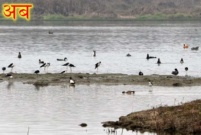 बाढ़ ने किया काफी नुकसान