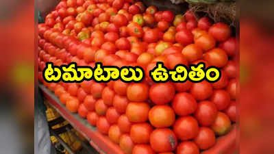 Tomato Prices: బంపరాఫర్.. ఆటోలో ప్రయాణిస్తే కిలో టమాటాలు ఉచితం