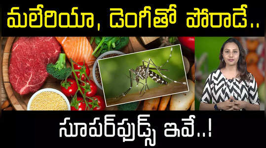 మలేరియా, డెంగీతో పోరాడే.. సూపర్‌ఫుడ్స్‌ ఇవే..!