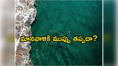 నీలి రంగు నుంచి ఆకుపచ్చగా మారిపోతున్న సముద్రాలు.. దేనికి సంకేతం?