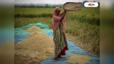 Paddy Procurement In West Bengal : ধান কেনার MSP বাড়াল সরকার, আরও সহজে বিক্রি করতে পারবেন কৃষকরা