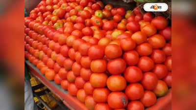 Tomato Price Viral: ফ্রি-তে 1 কেজি টমেটো! অটোতে উঠলেই চালকের মহার্ঘ উপহার, শর্ত কী মানতে হবে?