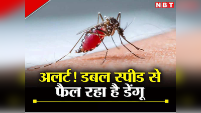 दिल्लीवालो सावधान, डेंगू ने डंक मारना शुरू कर दिया है, इन बातों का रखें ध्यान