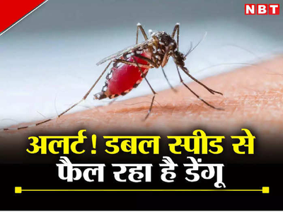 दिल्लीवालो सावधान, डेंगू ने डंक मारना शुरू कर दिया है, इन बातों का रखें ध्यान