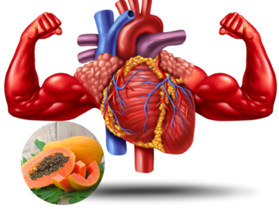 हृदयाला पोलादी बनवतात या 5 गोष्टी, हार्ट अटॅकचं टेन्शन कायमचं गुल, शास्त्रज्ञांनी सांगितली खाण्याची योग्य वेळ
